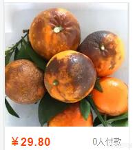 新手零基础学开网店可行吗（零基础怎么开网店?新手详细教程视频）