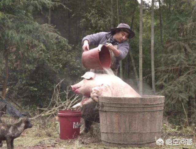 怎样学做电商视频教学(怎样学做电商视频剪辑)