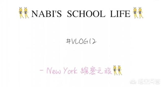 怎样学做电商视频教学(怎样学做电商视频剪辑)
