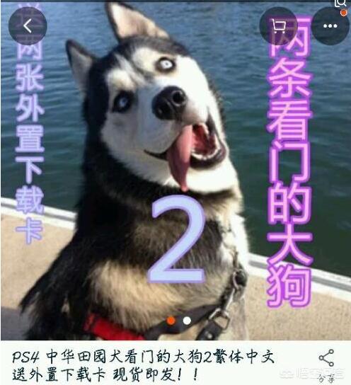 新手零基础学开网店可行吗（零基础怎么开网店?新手详细教程视频）