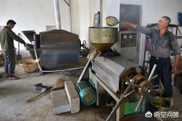 盘锦干啥能挣钱呢(盘锦做什么生意好)