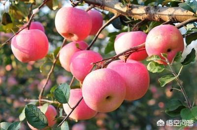 电商可靠吗?（做电商赚钱能相信吗）