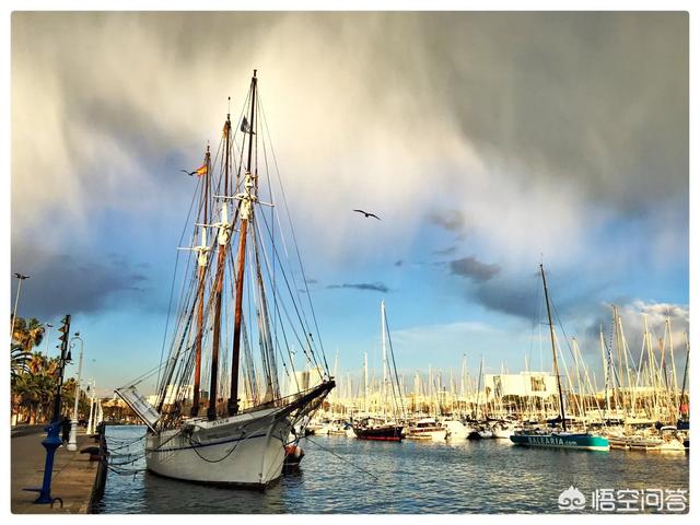 跨境电商不懂英语怎么办呀（想做跨境电商不会英语怎么办）