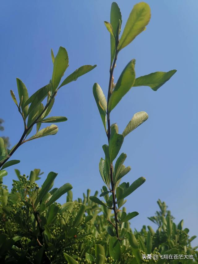 多多网 跨境社区(多多网跨境电商曝光)