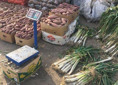 在盘锦干什么工作挣钱水暖工(在盘锦干什么工作挣钱最多)