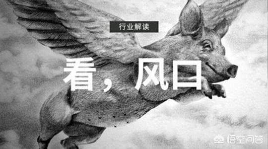 电商需要直播吗现在(电商需要直播吗?)