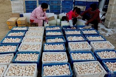 电商营销技巧（如何学会做电商）