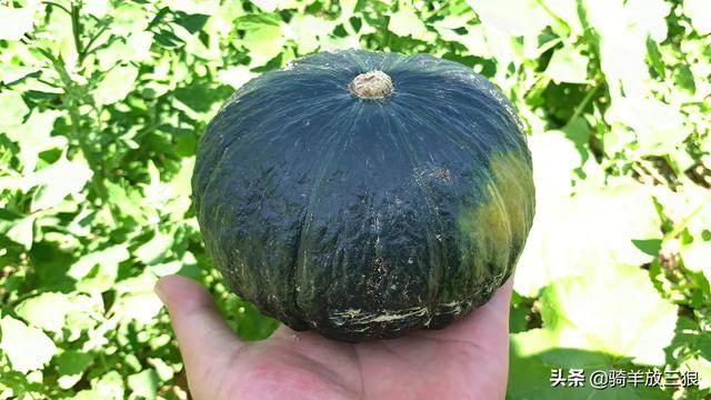 自己在家怎么做电商卖货（自己在家怎么做电商,具体怎么做）