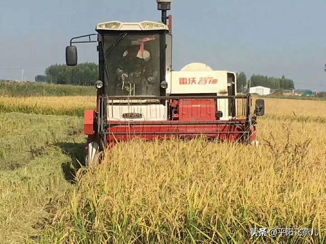 电商要怎么做起来才能赚钱（电商怎么做起来的）