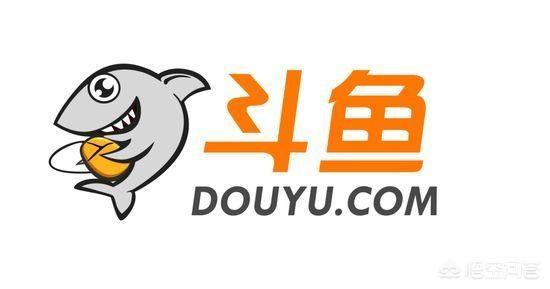 哪个直播平台适合新人（适合新人的直播平台推荐）