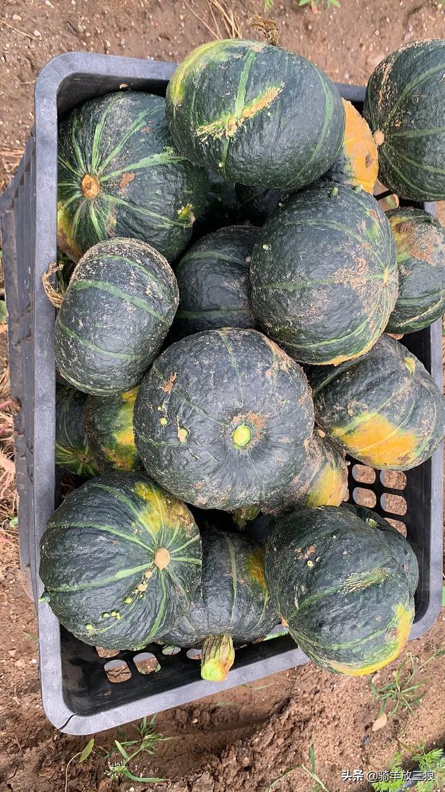 自己在家怎么做电商卖货（自己在家怎么做电商,具体怎么做）