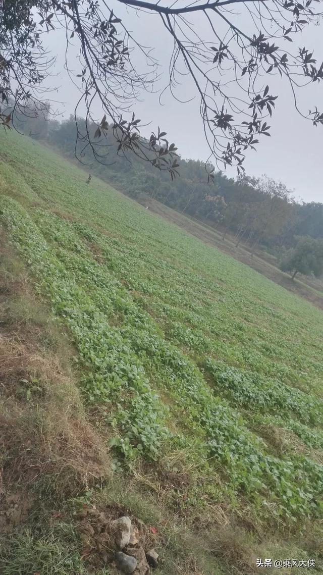 农村电商培训心得体会200字(农村电商培训心得体会)