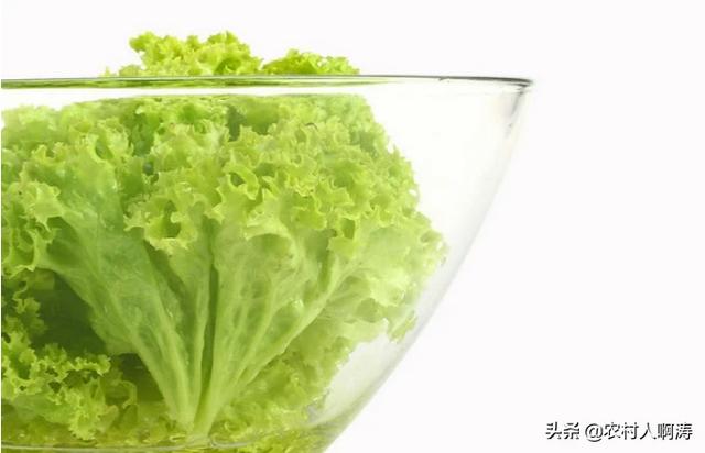 农村电商培训心得体会200字(农村电商培训心得体会)