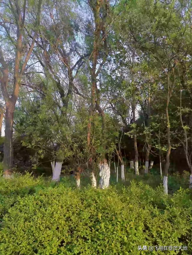 多多网 跨境社区(多多网跨境电商曝光)