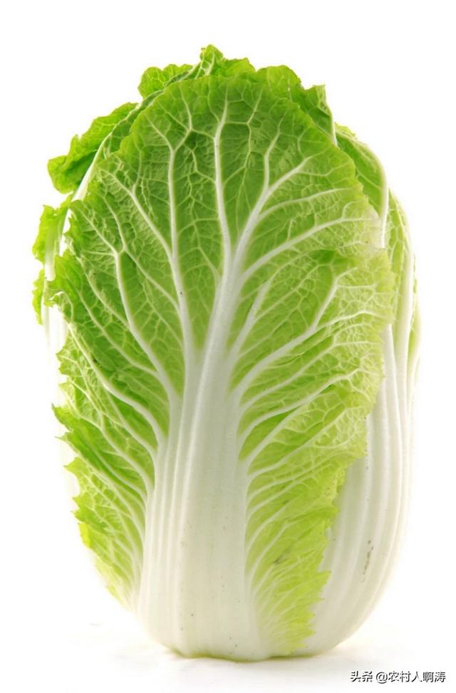 农村电商培训心得体会200字(农村电商培训心得体会)