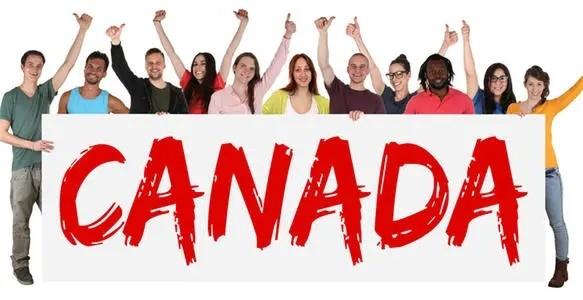 跨境电商北美市场参考文献有哪些(跨境电商北美市场最大的平台)