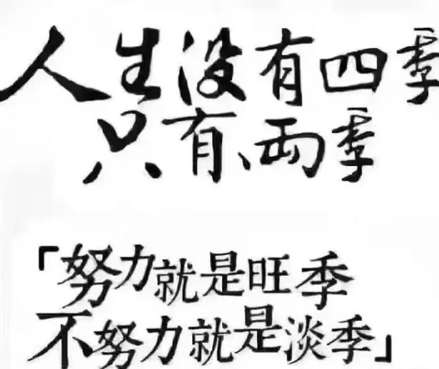 lazada开店流程及费用(lazada本土店怎么开)