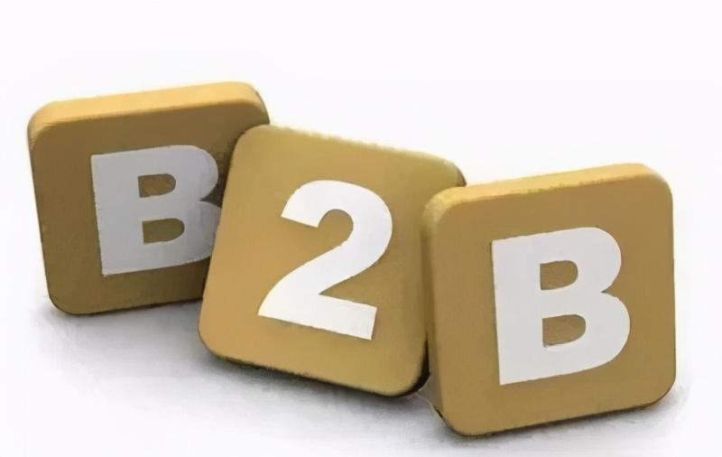 综合型b2b电子商务平台网站(b2b电子商务平台公司)
