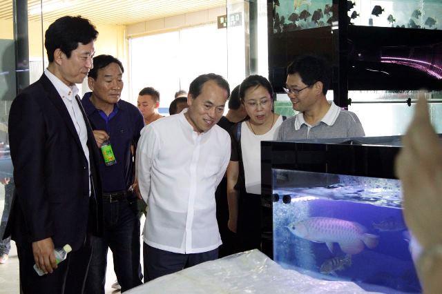 韩国 电商韩国电商平台