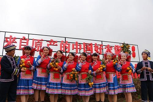 旅游电商发展现状与趋势旅游电子商务的分类有哪些