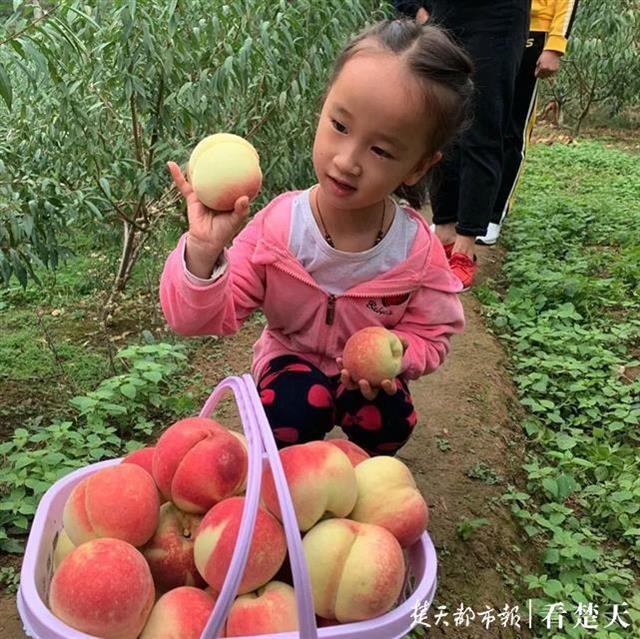 国内电商平台有哪些购物平台哪个比较靠谱