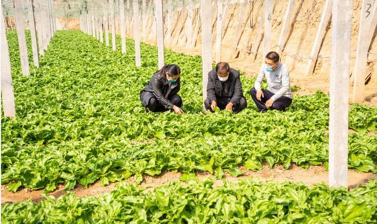 电商怎么做如何从零开始三农产品怎样从零开始做线上销售