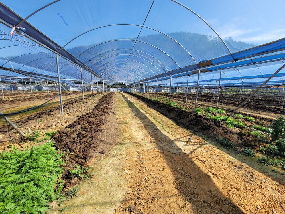 各大电商平台入驻条件及费用各大主流电商平台的入驻条件是怎么样的