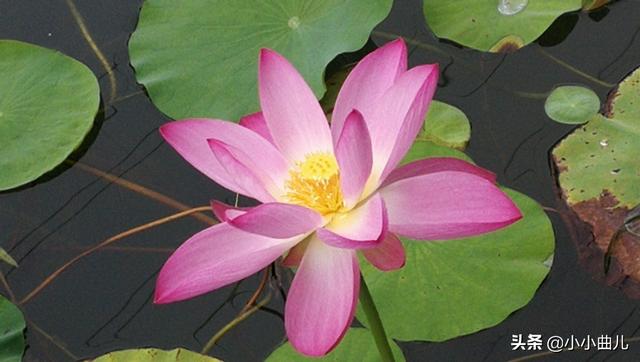 跨境电商的本质（跨境电商基本含义）