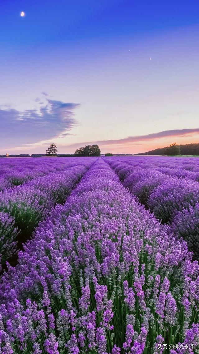 跨境电商考试题及答案（跨境电商概论考试题）