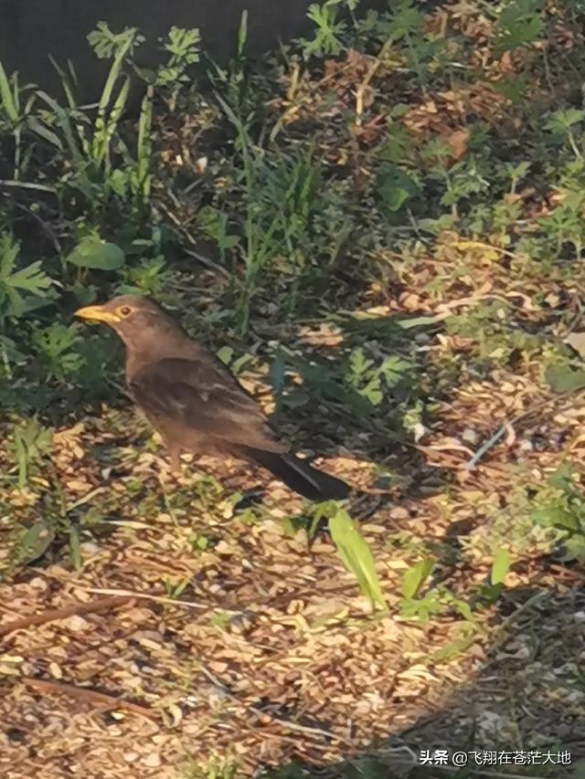 多多网 跨境社区(多多网跨境电商曝光)