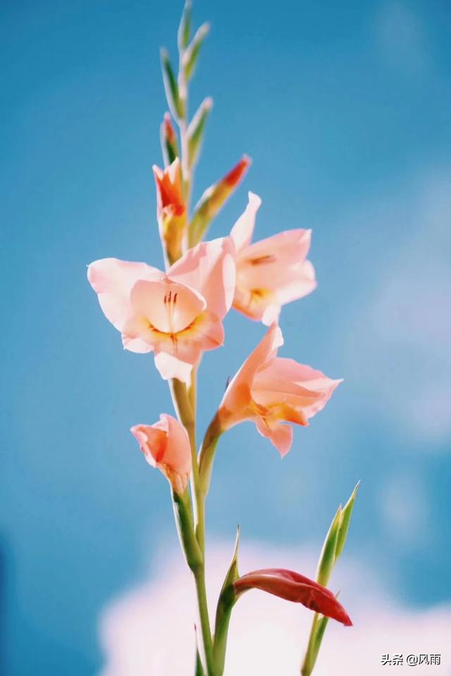 如何0资金创业（如何0创业）