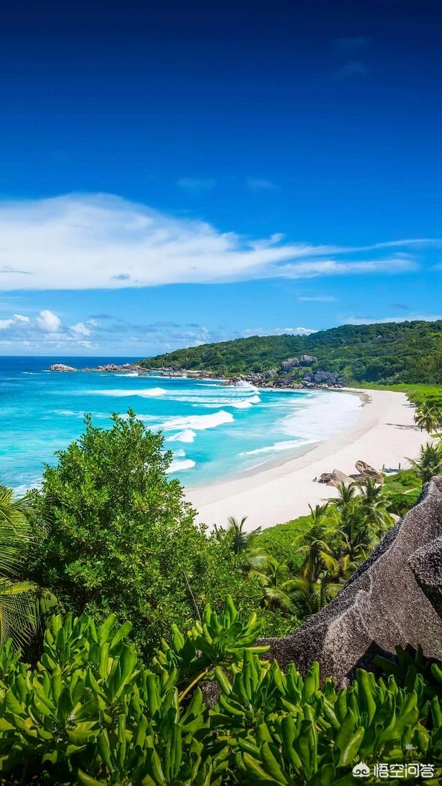 跨境电商不懂英语怎么办呀（想做跨境电商不会英语怎么办）