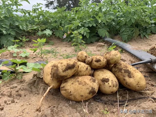 自己在家怎么做电商卖货（自己在家怎么做电商,具体怎么做）