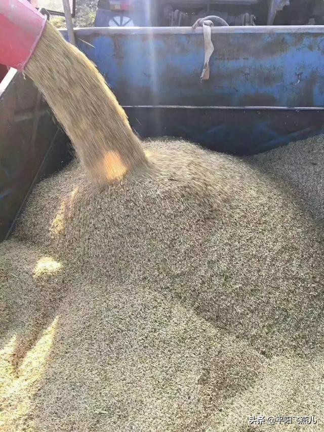 电商要怎么做起来才能赚钱（电商怎么做起来的）