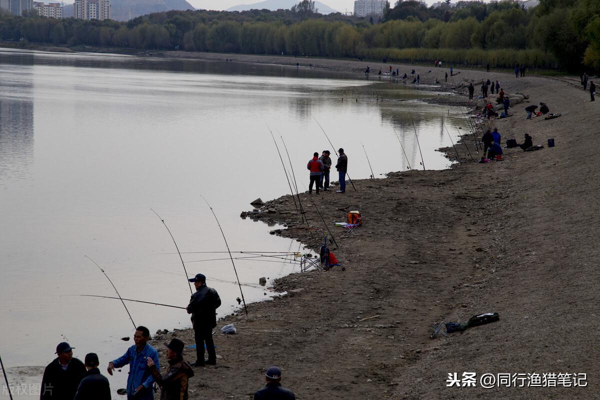 注册虾皮店铺没有流水能通过吗虾皮入职流程