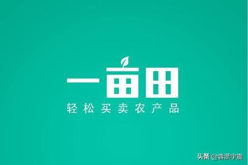 在虾皮开店个体户与公司营业执照的区别（个体执照可以开虾皮吗）