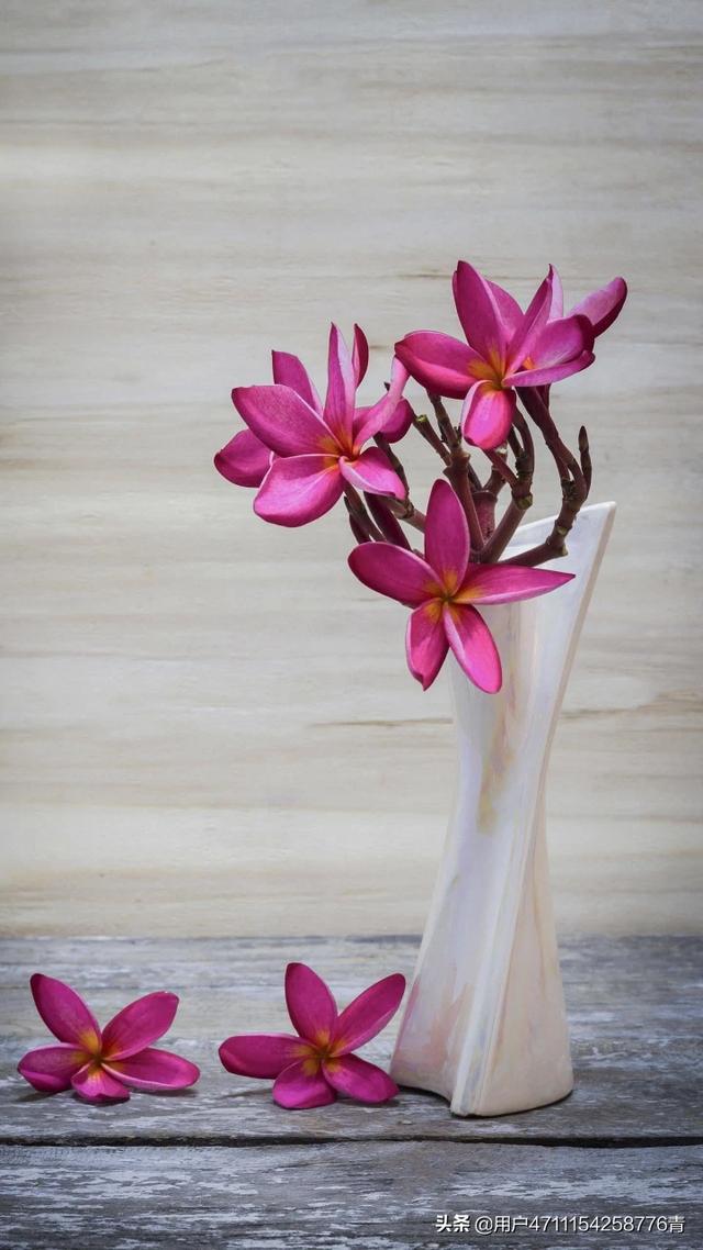 电商客服怎么做到运营（电商客服怎么做如何从零开始）