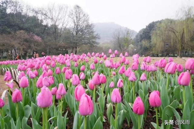 如何0资金创业（如何0创业）