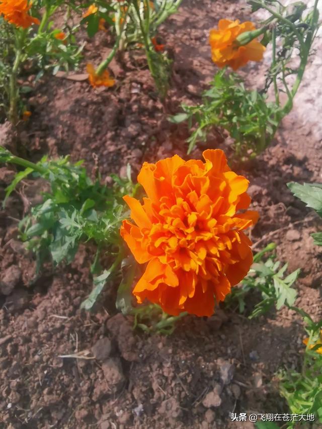 多多网 跨境社区(多多网跨境电商曝光)