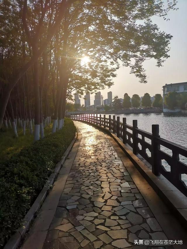 多多网 跨境社区(多多网跨境电商曝光)