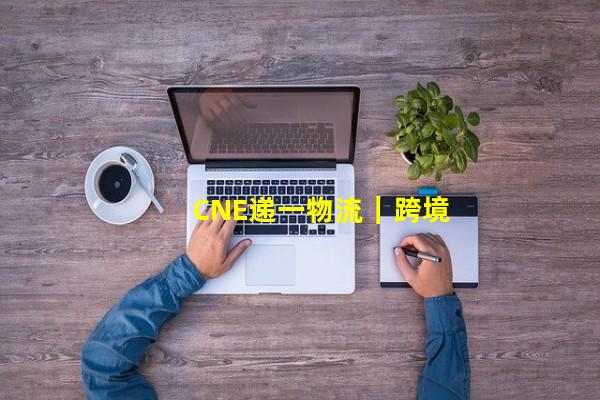 CNE递一物流｜跨境小包，就选递一_（跨境物流寄递，cne递一国际物流怎么样）