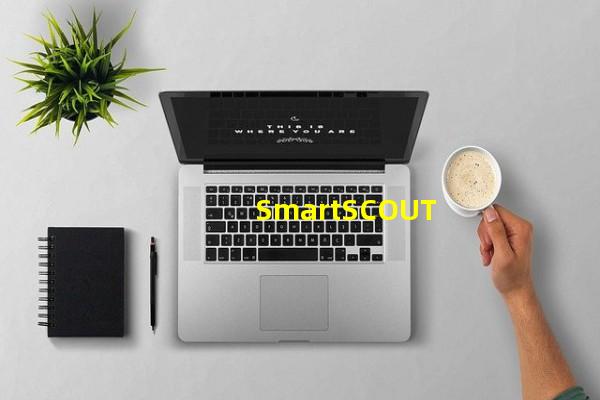 SmartSCOUT_(SmartCUT Pro,Smart找茬)
