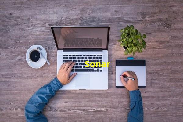 Sonar_(sonar off在闪怎么办,sonarqube)