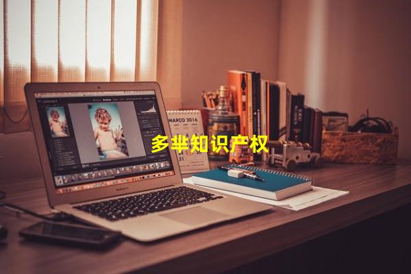 多芈知识产权_(つつ ながら,きっと ぜひ)
