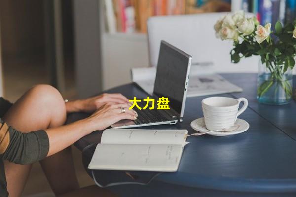 大力盘_(搜狗,网盘哪个最好用)