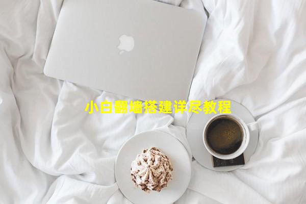 小白翻墙搭建详尽教程_(С��ǽ��꾡�̳)