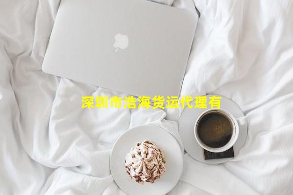 深圳市浩海货运代理有限公司_(深圳市浩海货运代理有限公司怎么样,深圳市深浩物流有限公司)